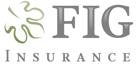 Financial Insurance Group